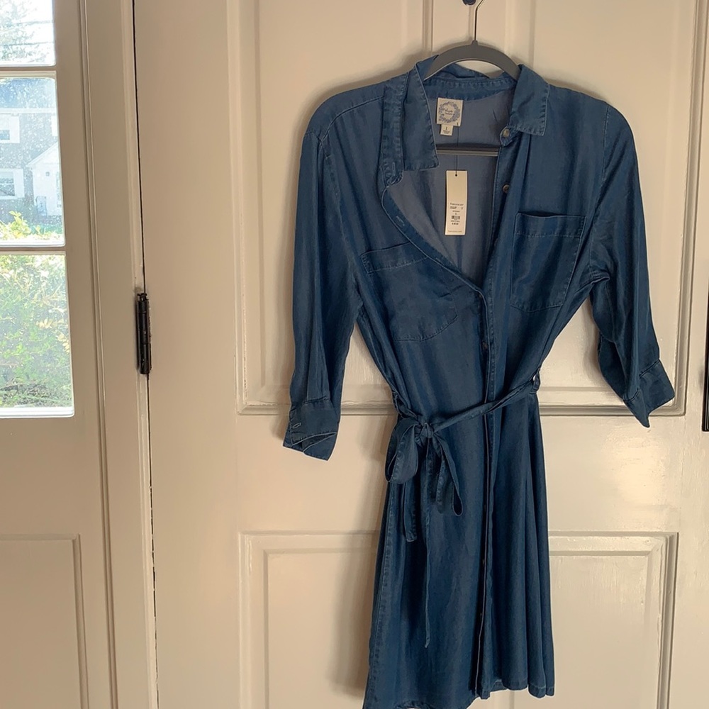 Francesca denim dress